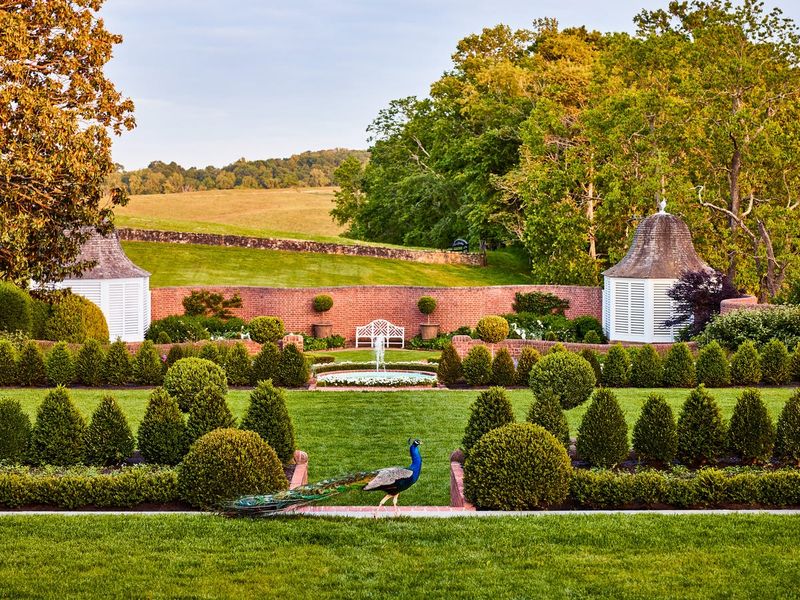 Manicured Formal Gardens