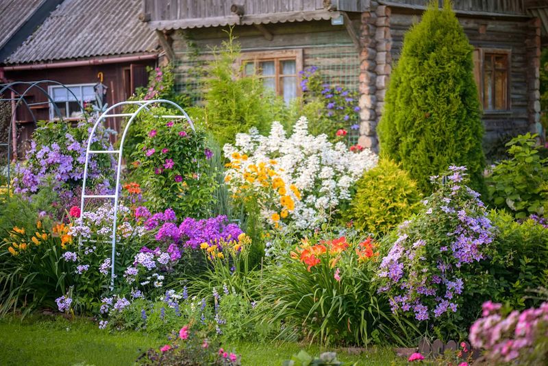 20 Front Yard Ideas That Look Professionally Landscaped - Decor Hint Climbing Vines on Trellises