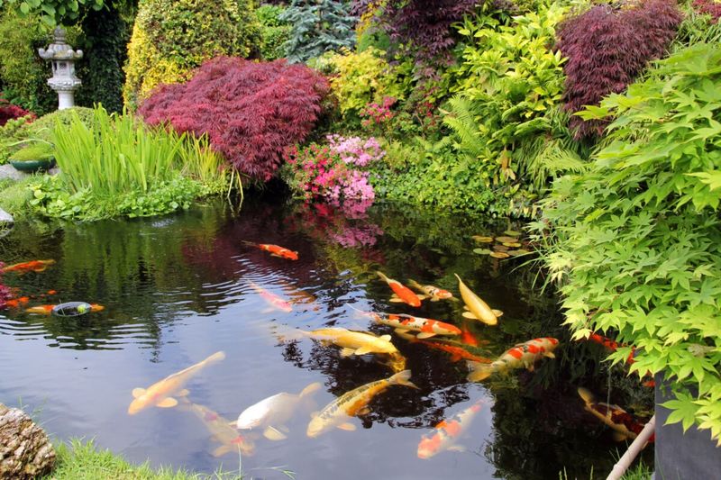 10 Landscaping Projects That Don’t Pay Off, According To Real Estate Pros (And 8 That Totally Do) - Decor Hint Large Koi Ponds