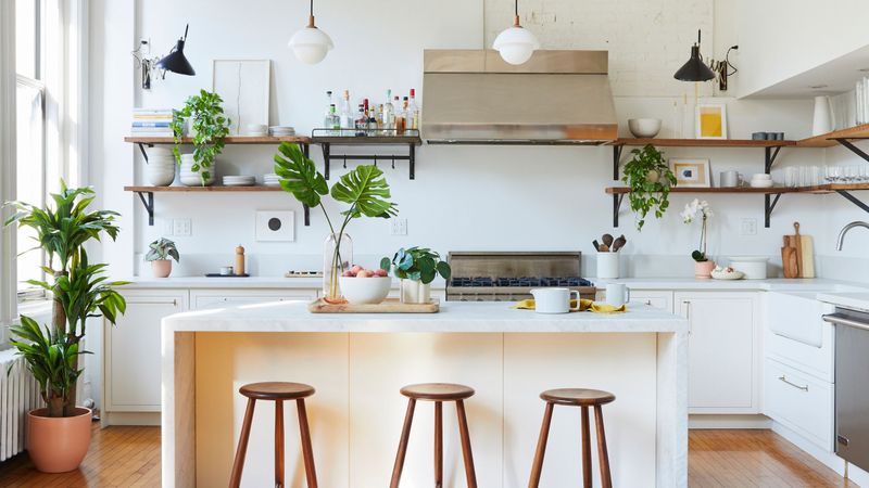 Fake Plants That Look Fake
