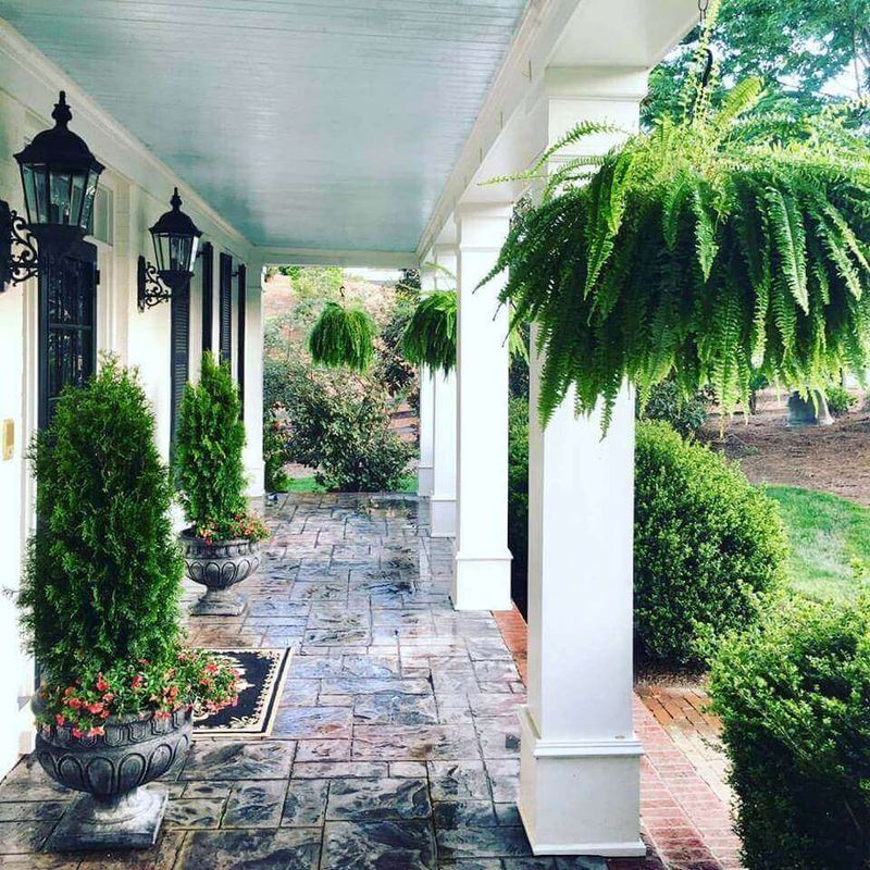 12 Front Porch Looks That Define South Carolina Welcoming Style - Decor Hint Hanging Ferns in Baskets