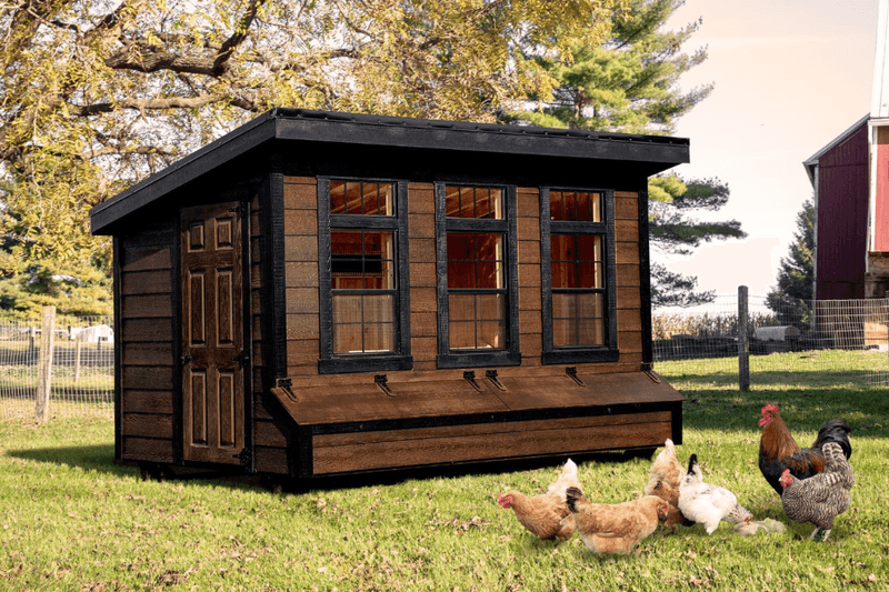 18 Common Suburban Upgrades That Might Violate Local Laws - Decor Hint Chicken Coops in Restricted Zones