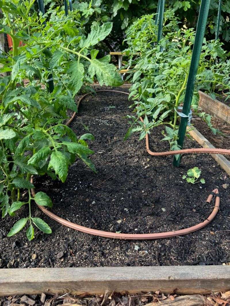 Drip Irrigation Leaking into Other Yards