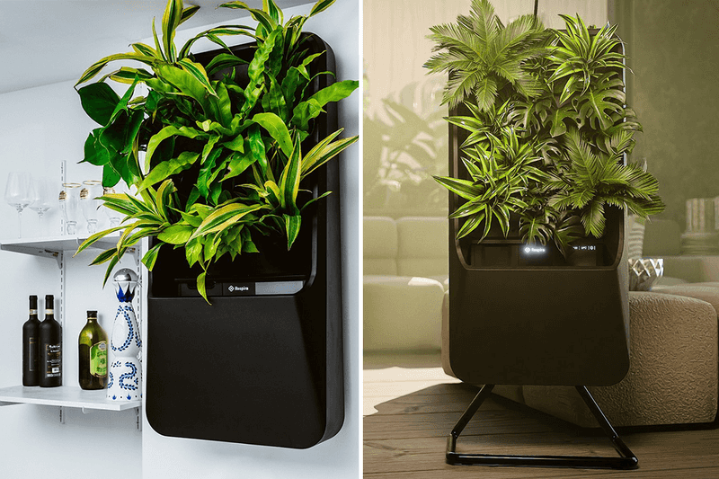 6 Smart Home Trends Shaping 2025 - Decor Hint Biophilic Tech That Merges Nature with Smart Living