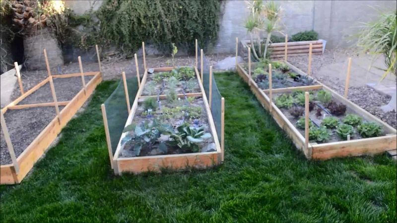 What Arizona DIYers Are Doing With Their Weekends (And Loving It) - Decor Hint Building Raised Garden Beds