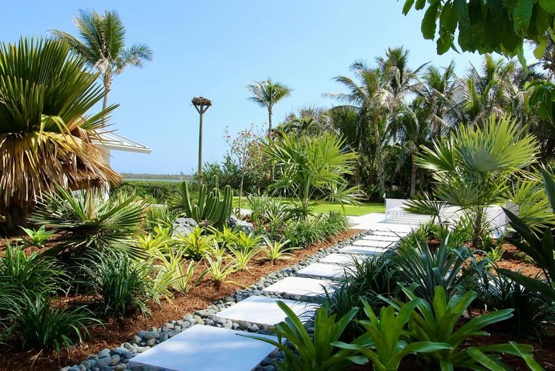 Florida Homeowners' Favorite Summer Upgrade Projects - Decor Hint Tropical Garden Landscaping