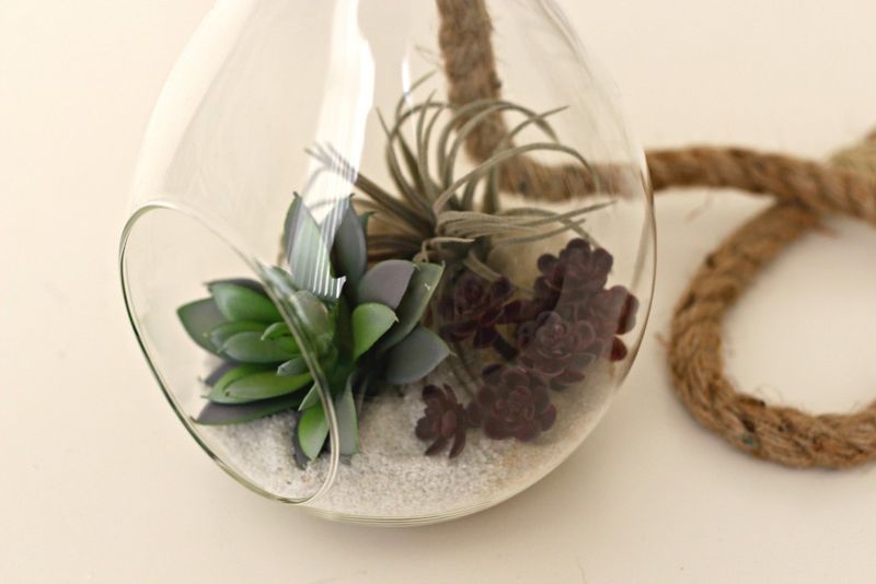 25 Awesome Succulent Porch Garden Ideas To Boost Curb Appeal - Decor Hint Succulents In Hanging Glass Orbs
