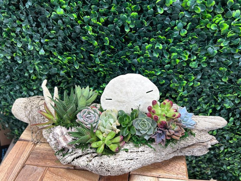 7 Coastal-Inspired Curb Appeal Ideas From Florida, And 5 Even Better Ones - Decor Hint Driftwood Planters That Tell Ocean Stories