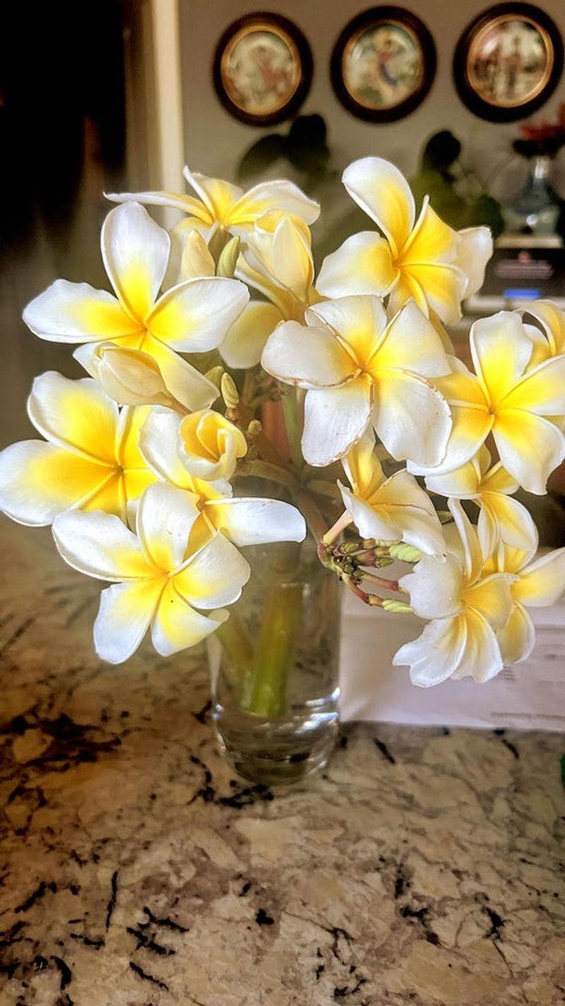 13 Home Staging Techniques Used In Hawaii That Can Transform A Room Quickly - Decor Hint Use Scent Marketing