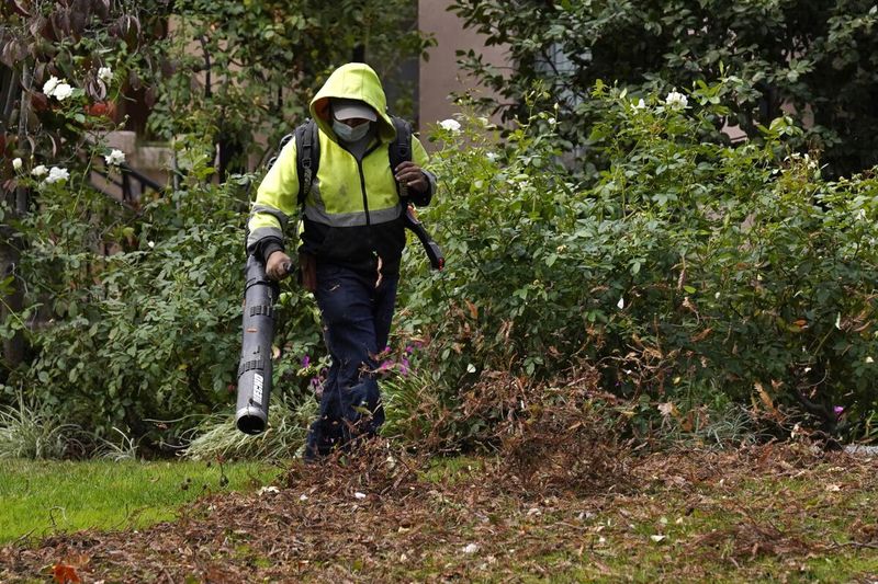 13 Yard Features That Could Soon Be Banned In U.S. Neighborhoods - Decor Hint Gas-Powered Lawn Equipment