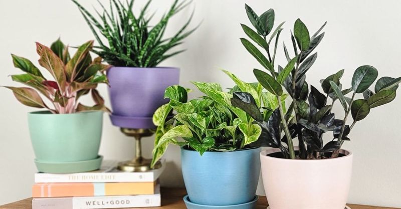 16 Bright Home Decor Picks To Chase Away Boredom - Decor Hint Fun, Vibrant Planters
