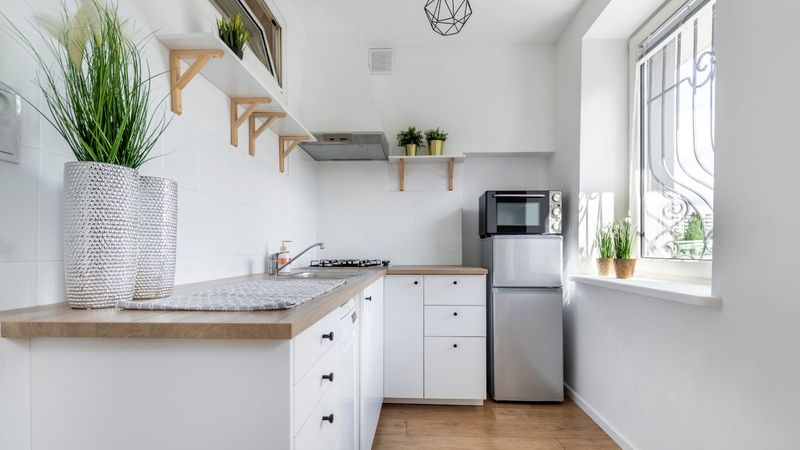 Choose Slim Appliances