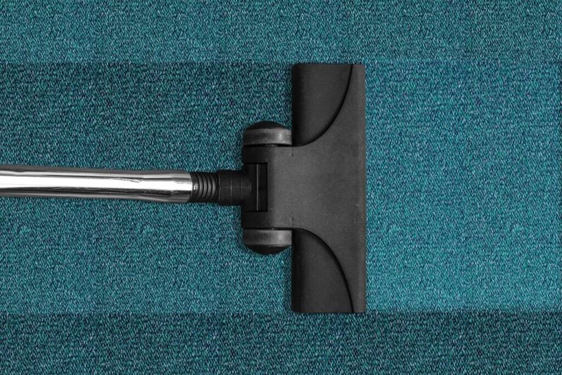Vacuumed Rugs with Straight Lines