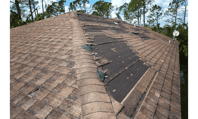 18 Things Appraisers Look For That Most Homeowners Miss - Decor Hint Roof Remaining Lifespan