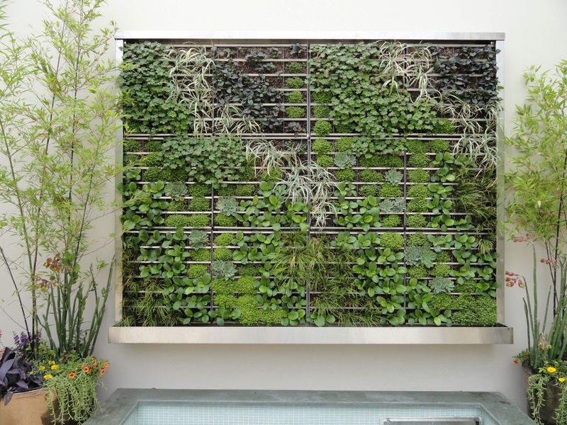 15 Terrace Designs From New Mexico That Keep Things Cool - Decor Hint Vertical Gardens and Living Walls