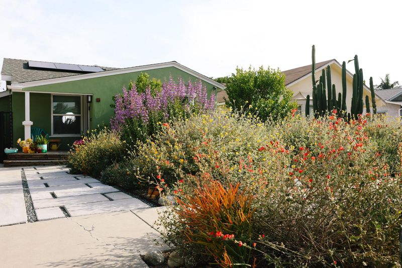 10 Landscaping Projects That Don’t Pay Off, According To Real Estate Pros (And 8 That Totally Do) - Decor Hint Native, Drought-Tolerant Plants