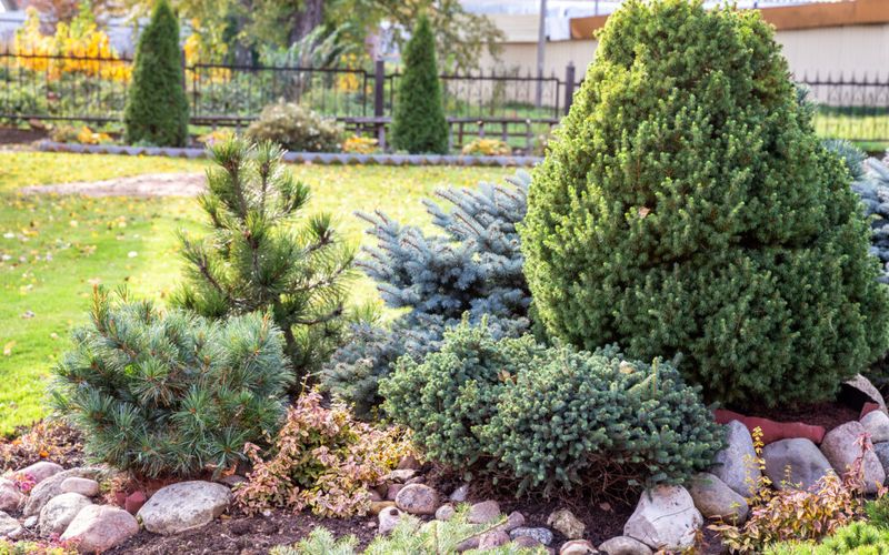13 Landscaping Ideas To Boost Your Curb Appeal And Make A Lasting Impression - Decor Hint Incorporate Evergreens For Year-Round Appeal