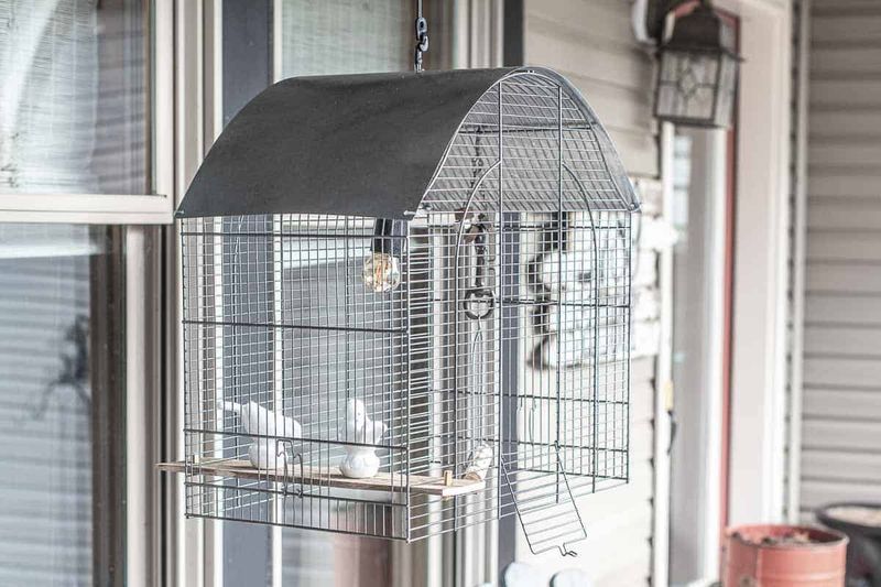 Southern Glow: Lighting Styles Found In Georgia Farmhouses - Decor Hint Chicken Wire Shade Sconces