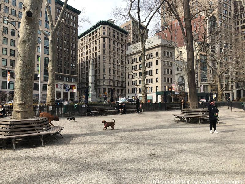 Dog Runs And Pet-Friendly Spaces