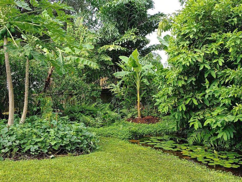 Florida's Real Estate Shift: 9 Home Types Losing Value By 2025 (And 11 Set To Soar) - Decor Hint Homes With Edible Landscaping