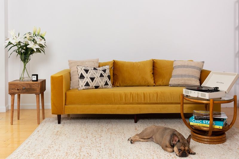 10 Outdated Furniture Colors We're Saying Goodbye To In 2025, According To Designers (And 10 That Are Trending Instead) - Decor Hint Mustard Yellow Adds Zesty Energy