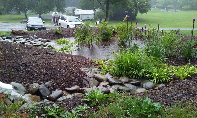 21 Sustainable Front Yard Landscaping Ideas With Rocks And Mulch - Decor Hint Rain Garden With Rock Accents