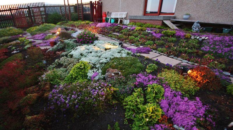 How Arizona's Outdoor Spaces Beat The Heat With Style - Decor Hint Nighttime Glow Gardens With Temperature-Responsive Plants