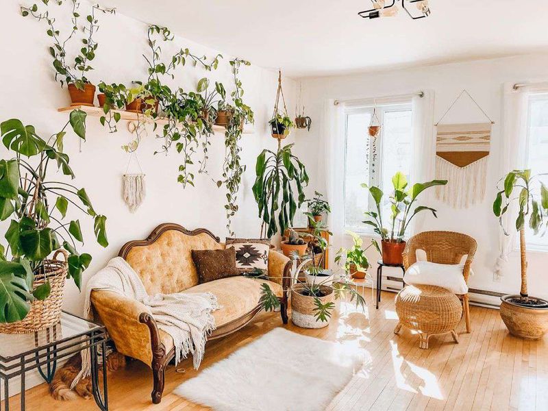 15 Things Your Home Needs ASAP, According To Interior Designers - Decor Hint Indoor Plants That Breathe Life