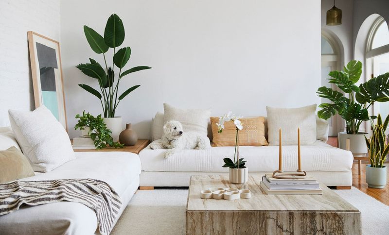 13 Best Living Room Ideas For Beautiful Home Design - Decor Hint Bringing In Greenery And Natural Elements
