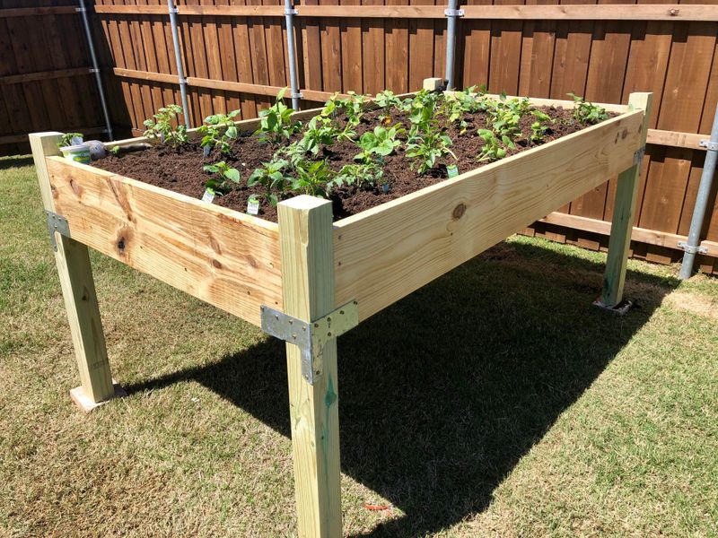 Minnesota DIYers' Weekend Projects That'll Make Your Home The Talk Of The Town - Decor Hint Raised Garden Beds With Northern Flair