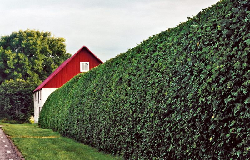 20 Front Yard Ideas That Look Professionally Landscaped - Decor Hint Neatly Trimmed Hedges