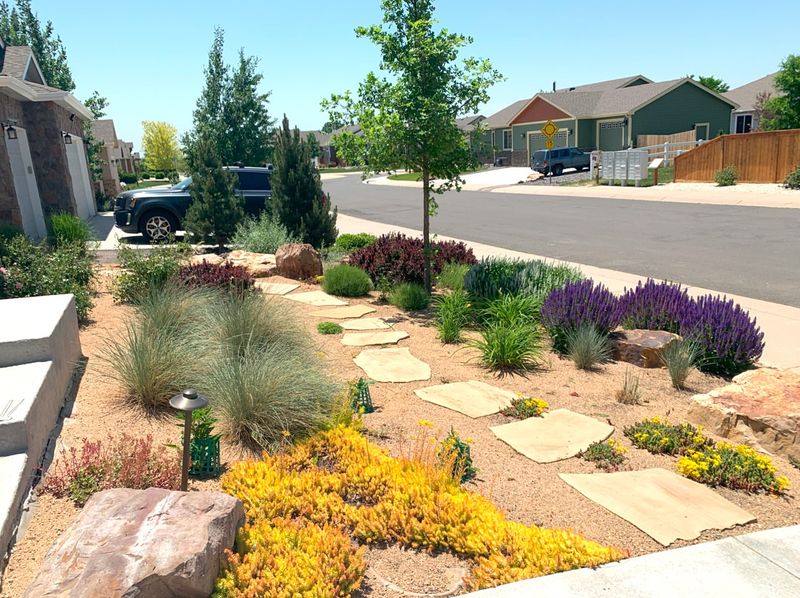 8 Desert-Inspired Exterior Design Ideas That Work Surprisingly Well In Colorado - Decor Hint Xeriscaping with Native Succulents