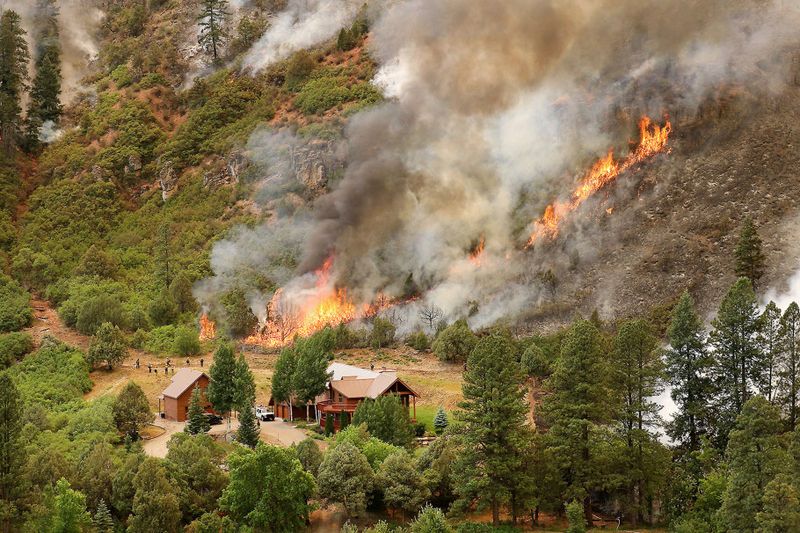8 Colorado Homes Forecasted To Lose Value And 9 To Gain By 2026 - Decor Hint Homes In Wildfire-Prone Zones