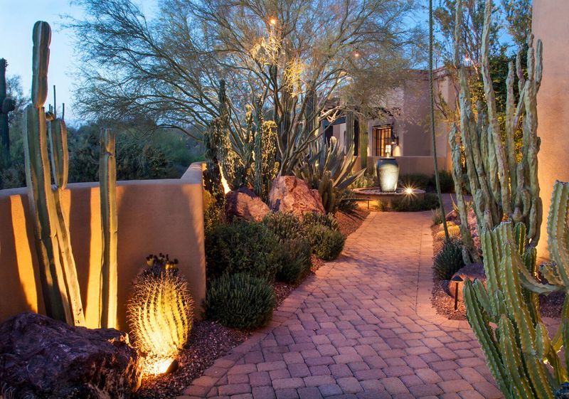 Phoenix Know-How 10 Creative Outdoor Designs For Thriving In The Desert - Decor Hint Low-Voltage Landscape Lighting