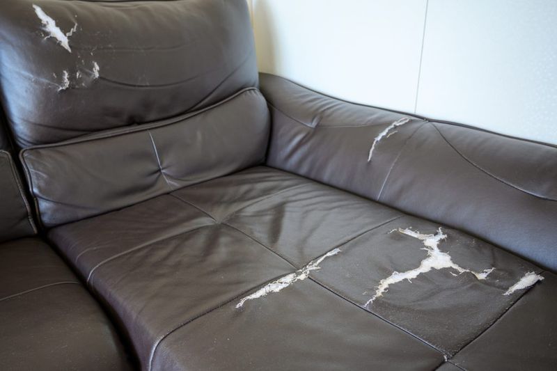 20 Couch Styles That Are So Cringe, According to Designers - Decor Hint Pleather Anything