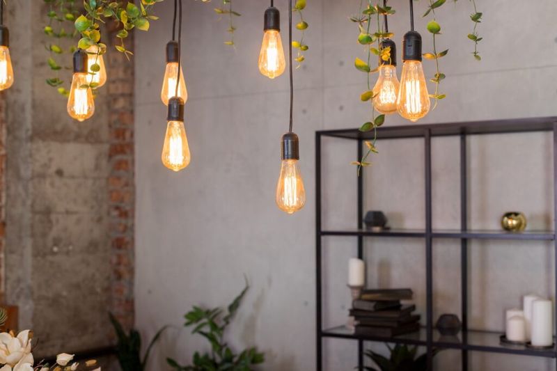 Edison Bulbs Burning Out