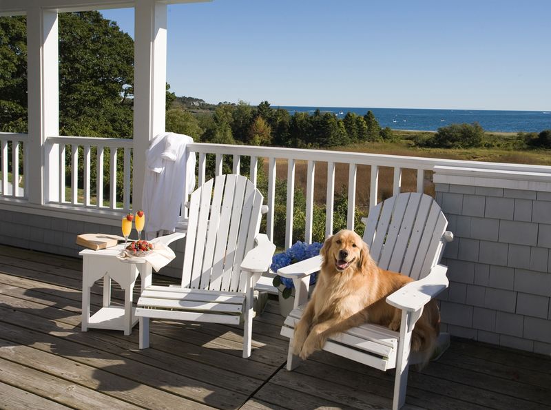 Dockside Deck Furniture