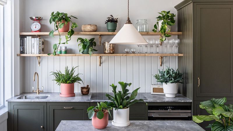 12 Rapid Fixes From NYC Stagers That Make Any Space Look Better - Decor Hint Living Plants for Instant Vitality