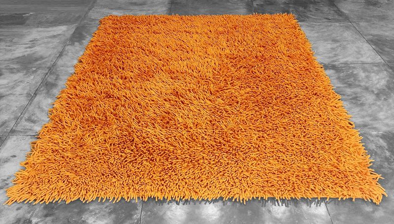 22 Things Every '80s Home Had Whether You Wanted Them Or Not - Decor Hint Shag Carpeting