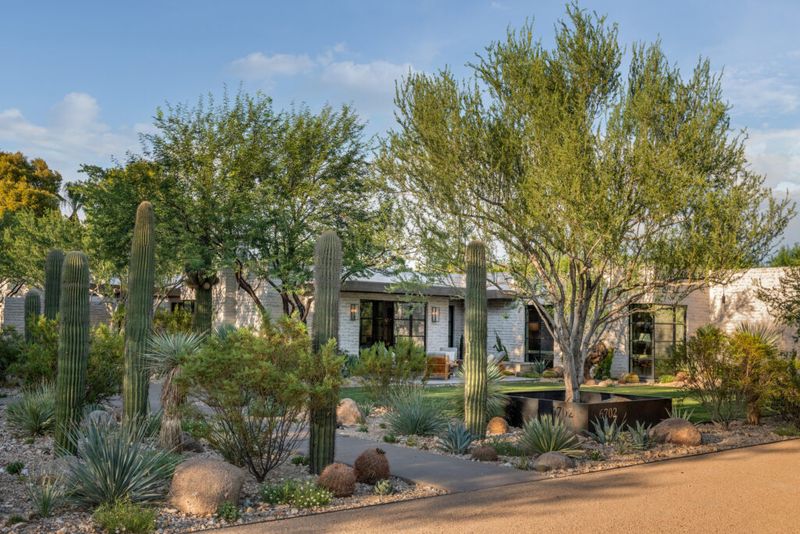 10 Desert-Friendly Exterior Design Ideas From Arizona Homes - Decor Hint Cactus Gardens As Living Sculptures