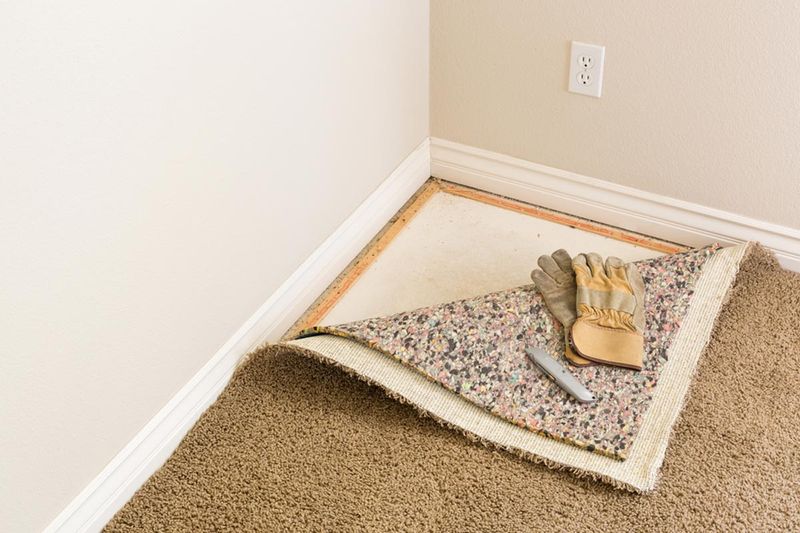 In My Experience These 10 Home Trends Will Devalue Properties By 2025 And These 5 Already Have - Decor Hint Wall-to-Wall Carpeting