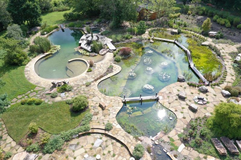 Natural Plunge Pools with Eco-Friendly Filtration
