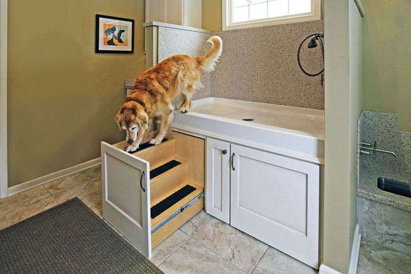 18 Common Home Features That Can Drag Down Your Property Value - Decor Hint Excessive Pet Customizations