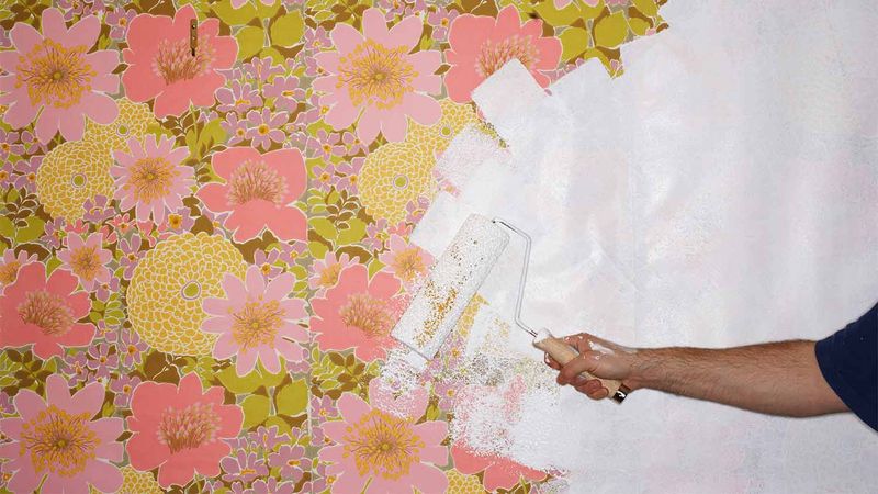Outdated Wallpaper Rolls Collecting Cobwebs
