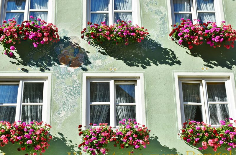 Flower-Filled Planters