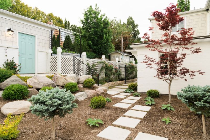 Create A Xeriscaped Yard