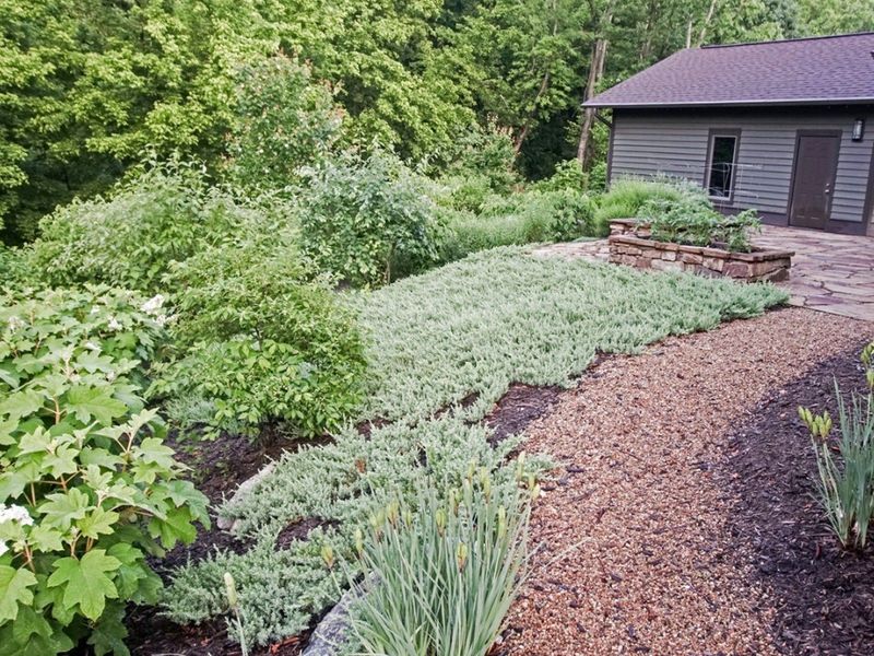 Struggling Lawn In Shady Areas