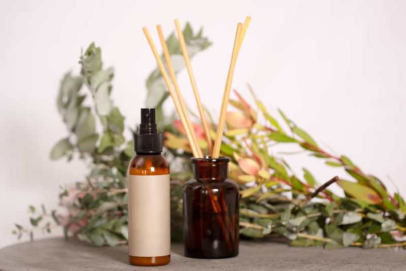 13 Things People With Nice-Smelling Homes Never Do According To Pros, Plus 9 Extra Ones People Usually Forget - Decor Hint Overuse Air Fresheners