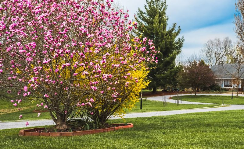 Landscaping Elements That Enhance Each Style