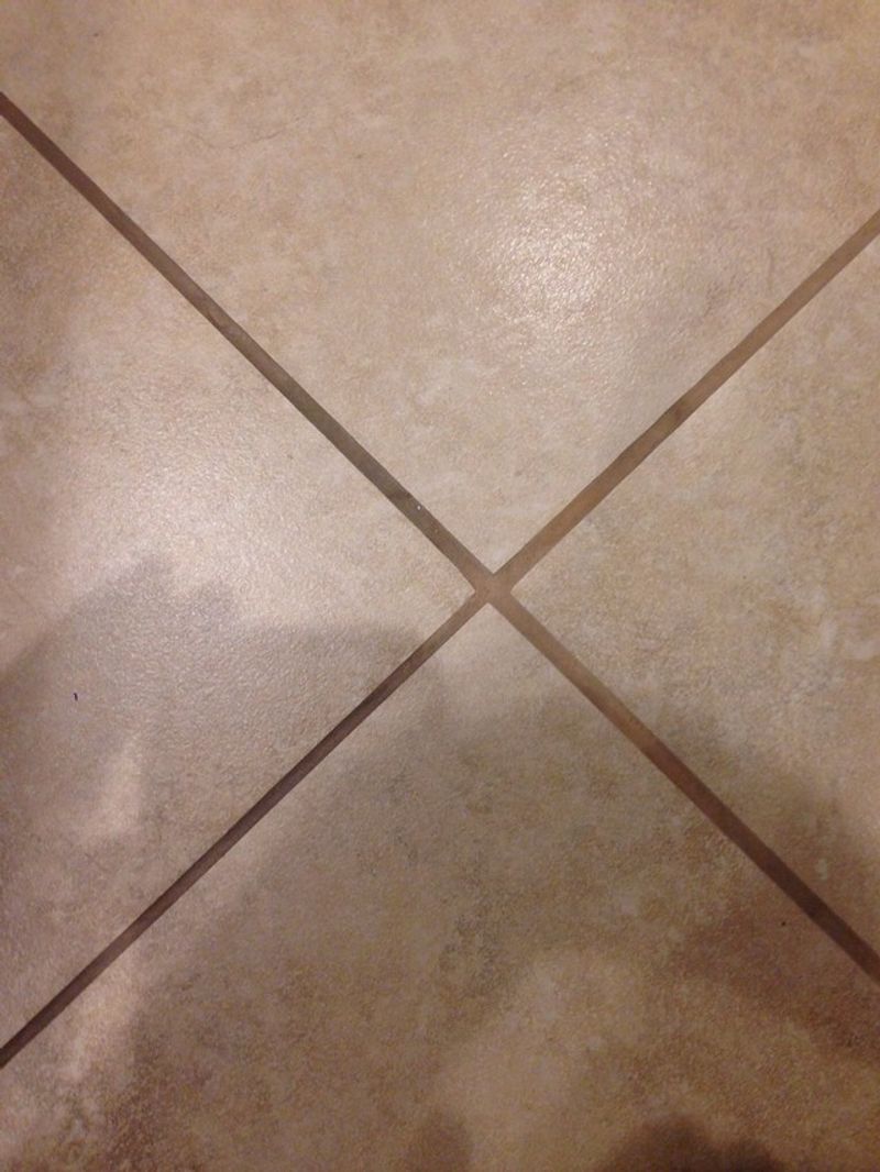 Unsealed Grout Lines